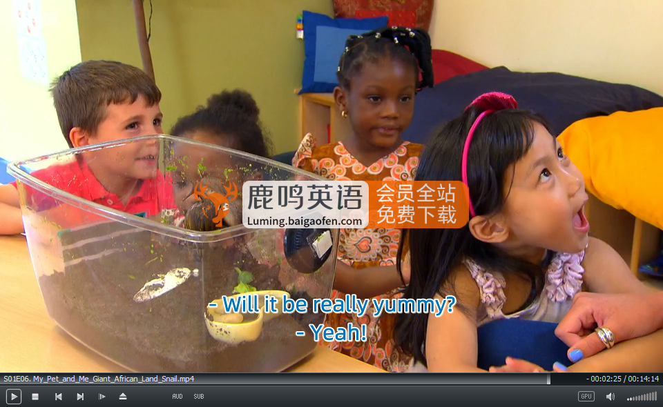 My Pet and Me 圖片7