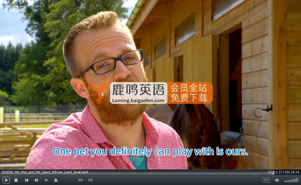 My Pet and Me 圖片9